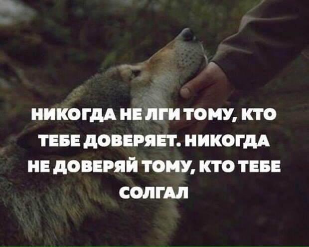 25 невероятно красивых и мудрых цитат