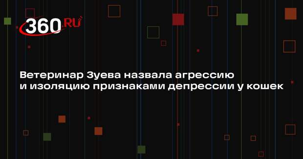 Ветеринар Зуева назвала агрессию и изоляцию признаками депрессии у кошек
