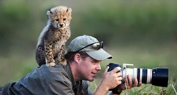 Какие они, будни лучших фотографов дикой природы?