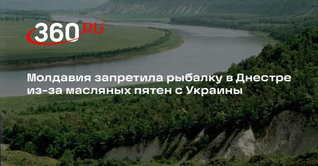 Молдавия запретила рыбалку в Днестре из-за масляных пятен с Украины