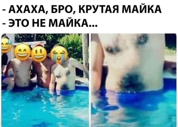 Подборка картинок (20 фото)