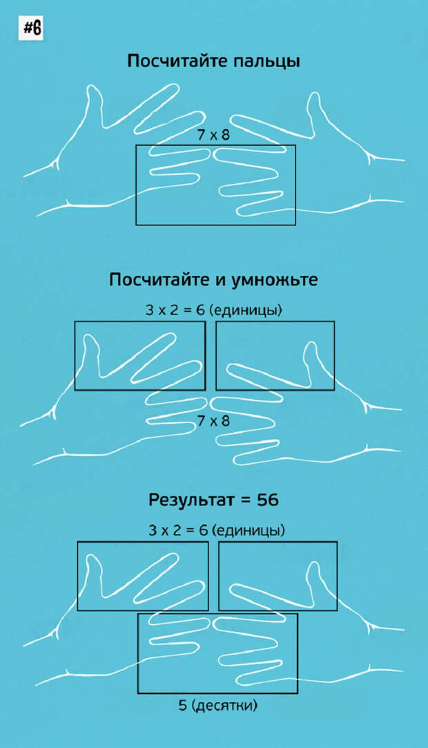 6