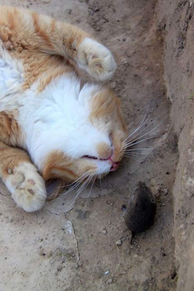 Давайте улыбаться вместе! :)