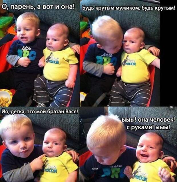 Картинки со смешными подписями