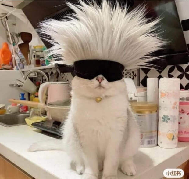 приколы 2021