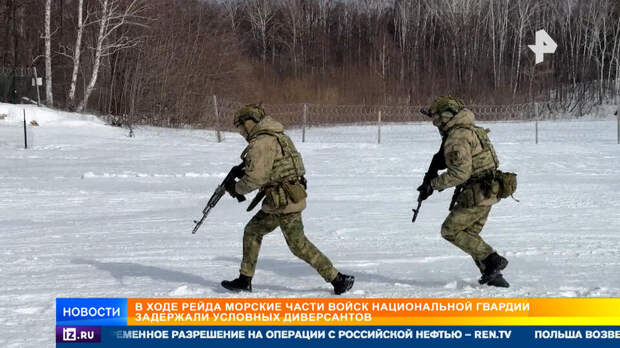 Часы в барокамере и подводная стрельба: как тренируются морские части Росгвардии
