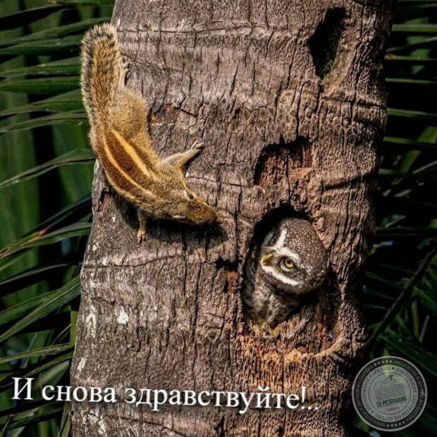 И снова здравствуйте