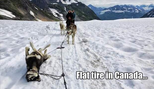 flat-tire-in-canada