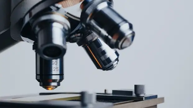 Мероприятия в рамках Года науки и технологий начнутся в Удмуртии 12 февраля