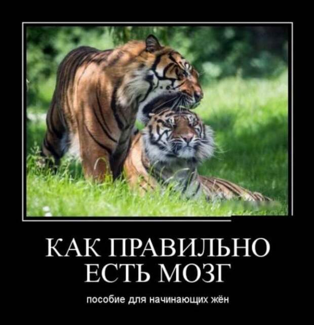 Демотиваторы. Подборка chert-poberi-chert-poberi-10240805052020-16 картинка chert-poberi-10240805052020-16