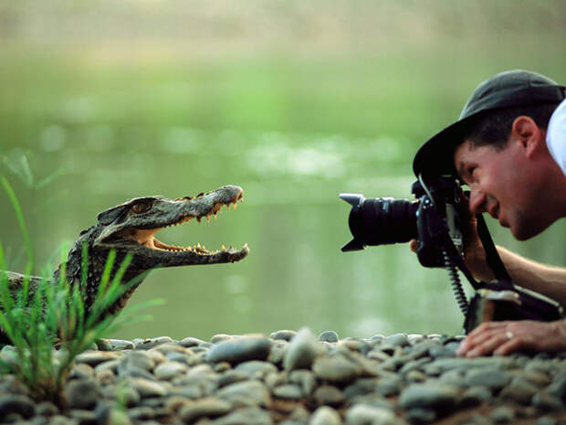 Какие они, будни лучших фотографов дикой природы?