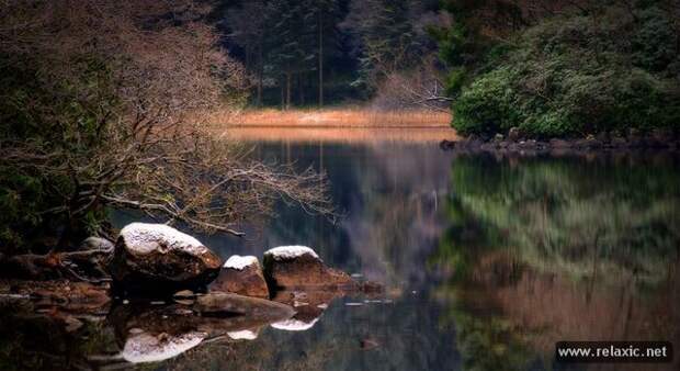 nature_017