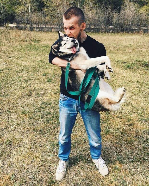 Замерзшая хаски 3 дня пролежала под балконом без движения Замерзшая хаски 3 дня пролежала под балконом без движения балкон, история, собака, хаски