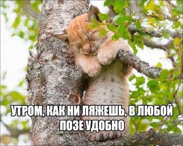 Два укpаинца:- Микола, ты меня пpосто удивляешь своим олимпийским спокойствием...