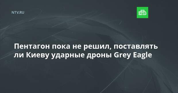 Пентагон пока не решил, поставлять ли Киеву ударные дроны Grey Eagle