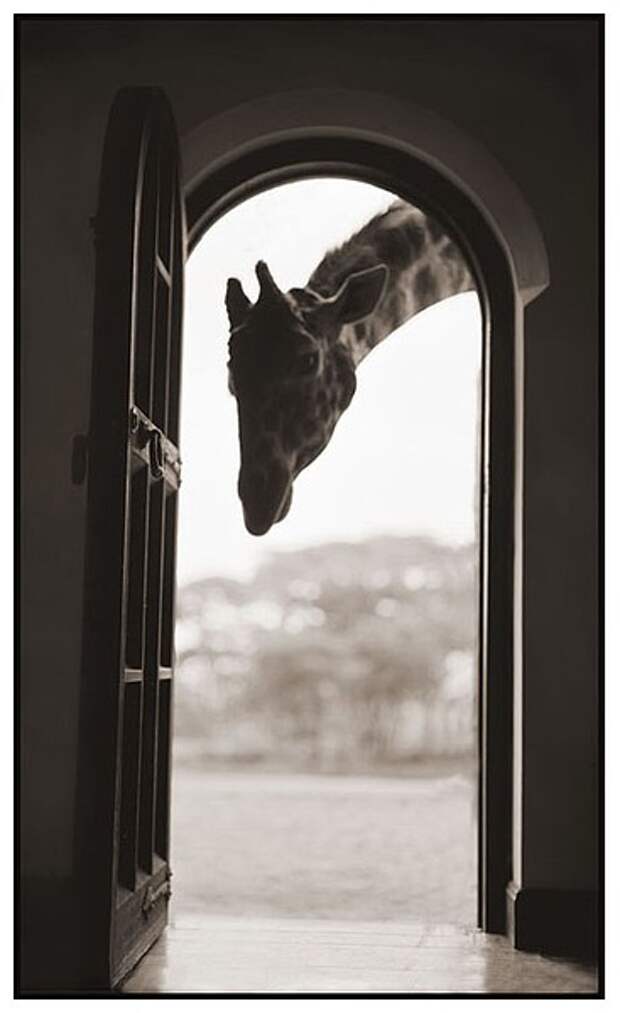 фотографии африки. Nick Brandt
