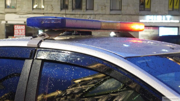 Узбека-тракториста сбили насмерть под Петербургом