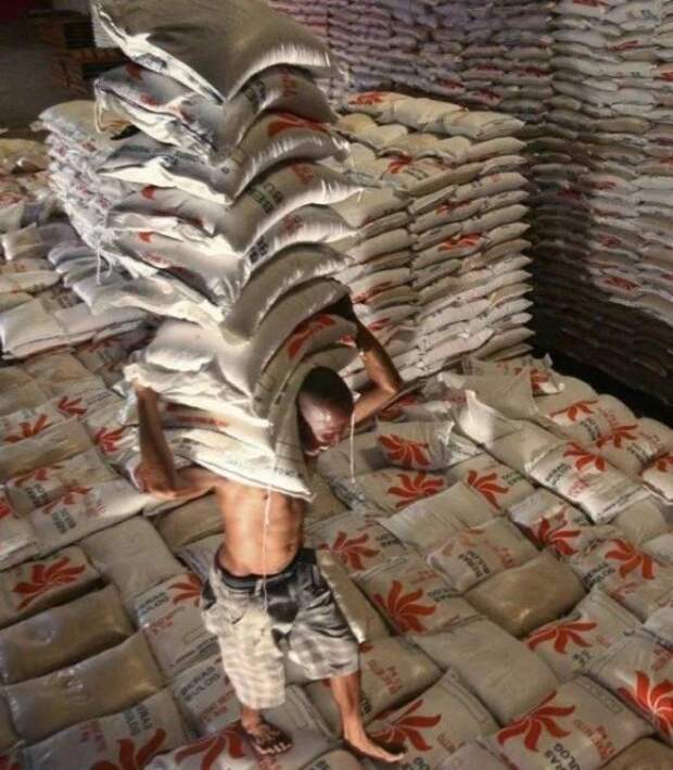 Необычные таланты и увлечения людей на фото