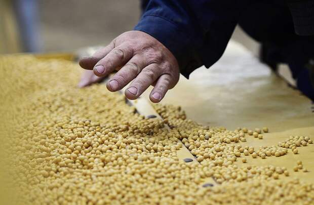 Фото: Юрий Смитюк/ТАСС