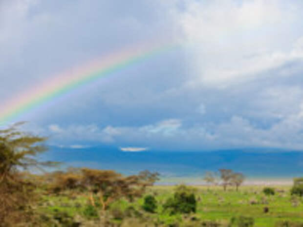 Клуб путешествий Павла Аксенова. Танзания. Rainbow and elephant. Фото shalamov - Depositphotos