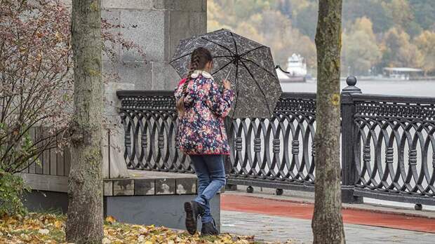 Синоптики спрогнозировали дождь и температуру до +7 градусов в Москве 21 октября
