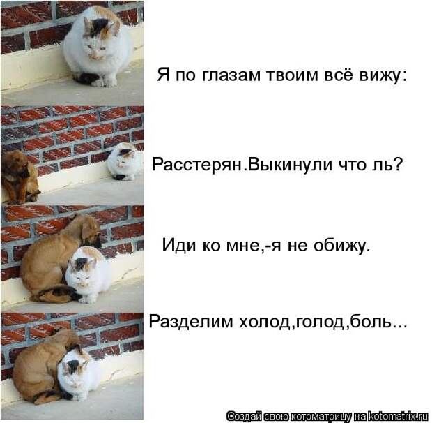 Я по глазам твоим всё вижу: Иди ко мне,-я не обижу. Расстерян.Выкинули что ль? Разделим холод,голод,боль...