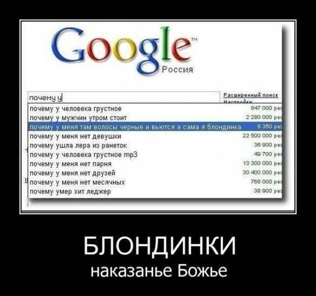 Необычные запросы в поисковых, какую информацию люди ищут в интернете?