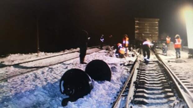 Пассажирский поезд насмерть сбил жителя Алтайского края