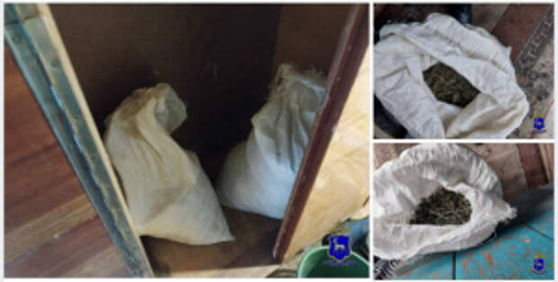 Жителю Самарской области, задержанному полицейскими за незаконное хранение свыше 8 кг конопли и умышленный поджог чужого имущества, судом вынесен обвинительный приговор