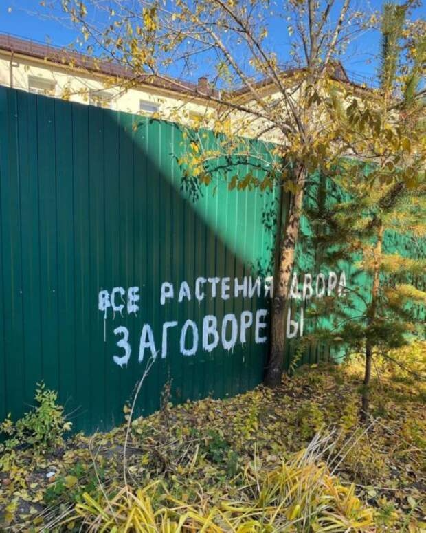 рф