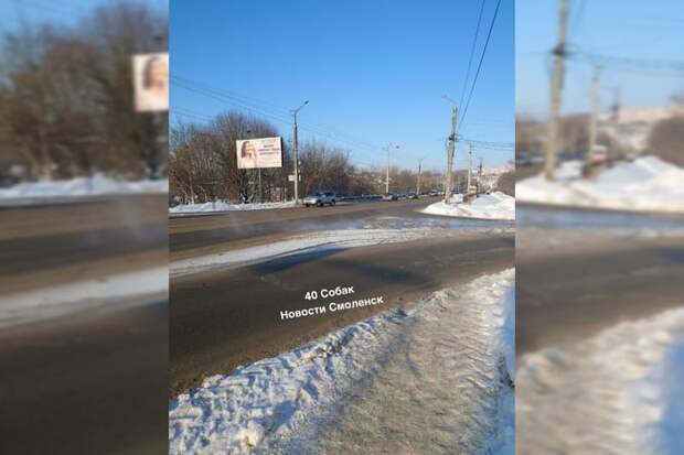 В центре Смоленска из-за морозов лопнула труба (видео)