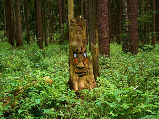 TreeProject10 Забавные лица в лесу