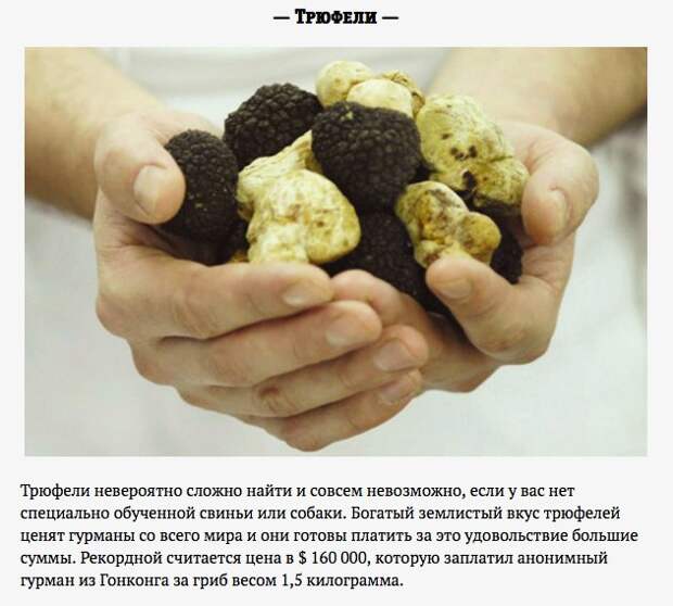 Самая дорогая еда на планете Еда, Гурман, Дорогие продукты, Удивительный мир вокруг нас, Длиннопост