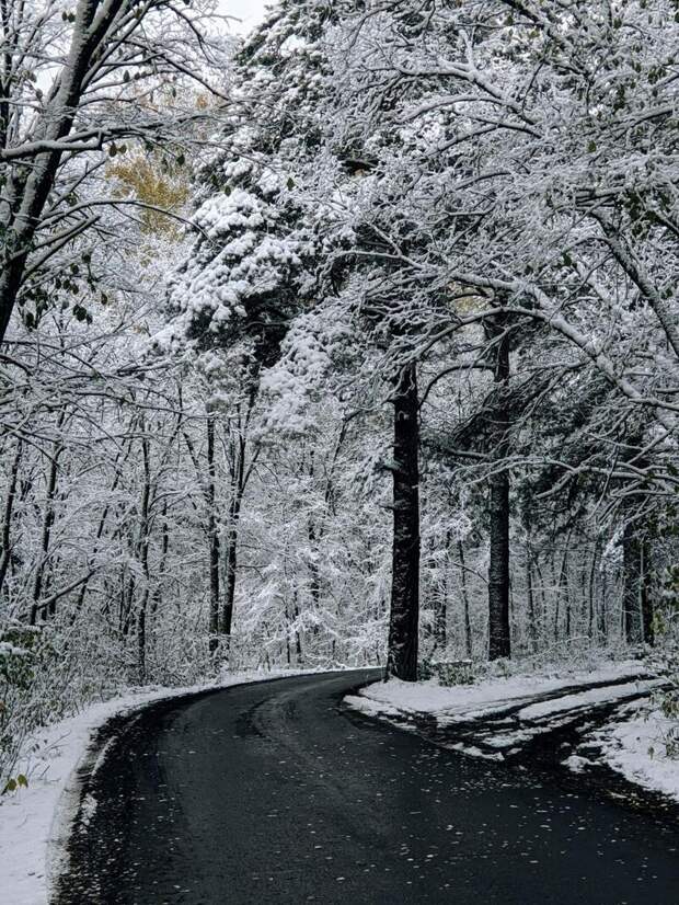 Первый снег / Фото: Екатерина Смолихина