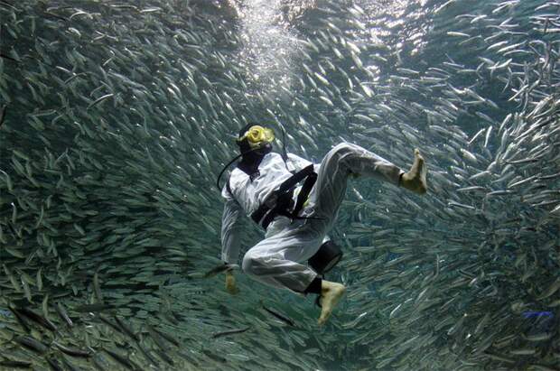 Лучшие снимки Reuters 2011. Часть 2. (22 фото)