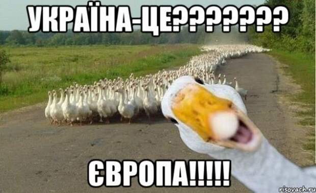 Об упоительно радостных новостях с Украины Об упоительно радостных новостях с Украины