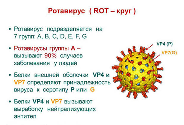 Ротавирус - что это