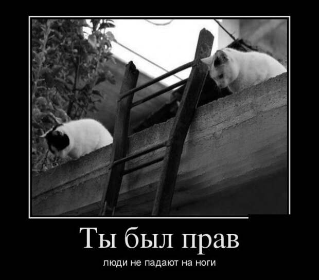 Демки