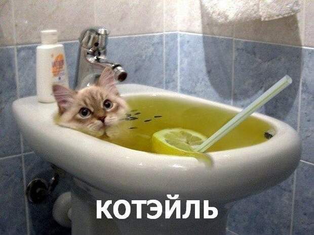Всяко - разно 12 )))