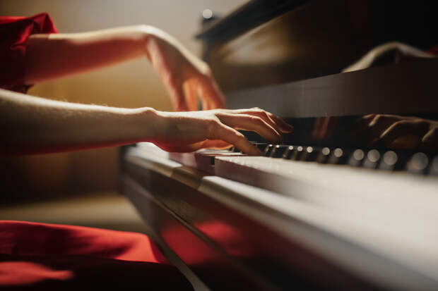 "Музторг": музыкальные инструменты в России могут подорожать на 15% в 2026 году