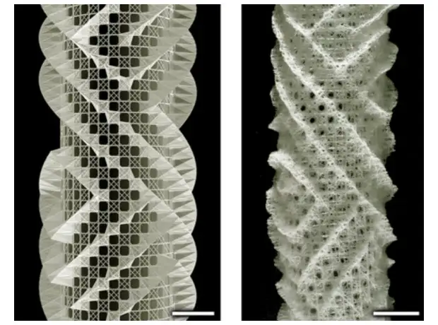 В потоке. Как губка проживает на дне океана