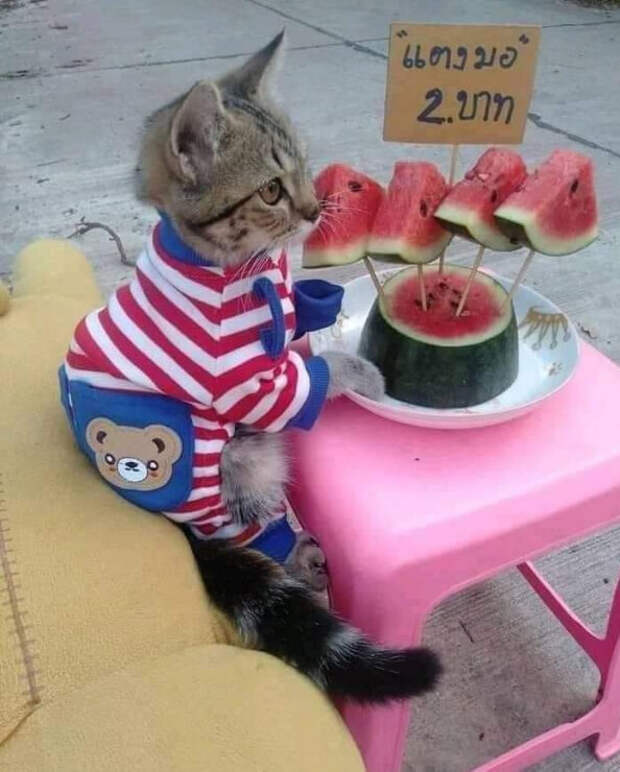 приколы 2021