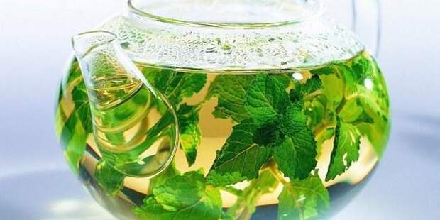 ТРАВЫ ДЛЯ ПОХУДЕНИЯ 