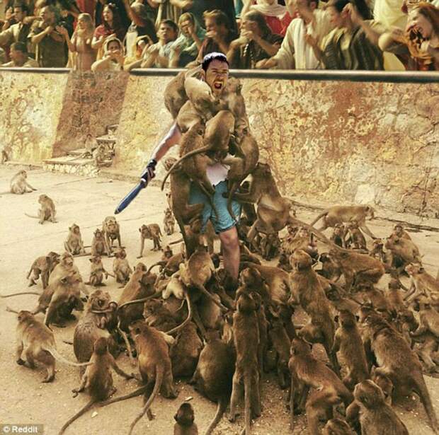 Роковая ошибка: турист решил покормить обезьян и стал героем интернет-мемов