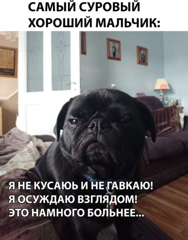 Подборка прикольных картинок (25 фото)
