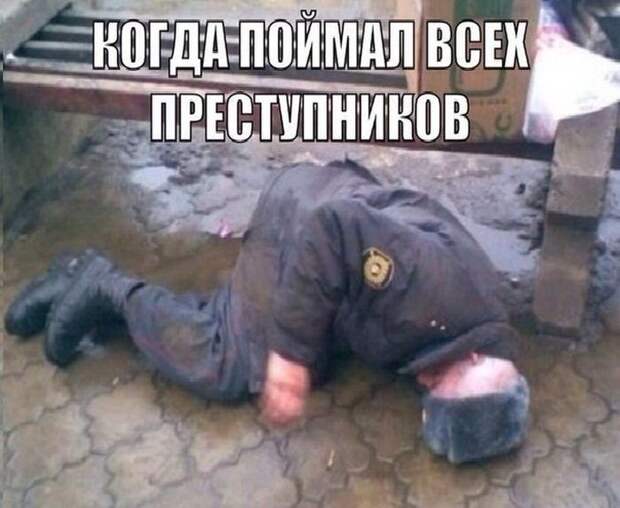 Веселые картинки с надписями до слез (12 фото) Веселые картинки с надписями до слез (12 фото)