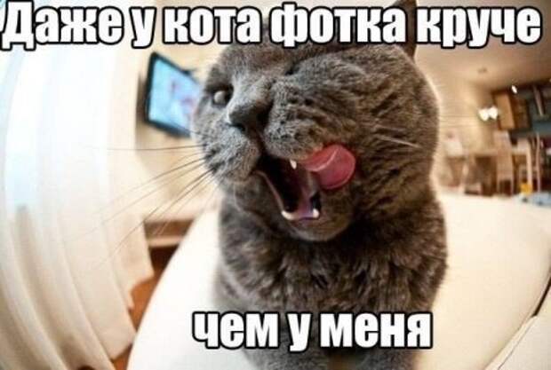 Для хорошего вторника приколы