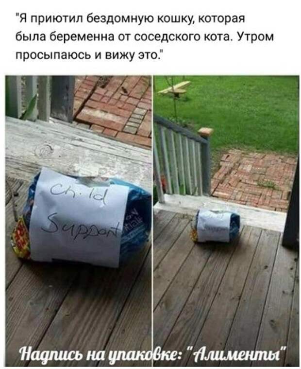 Подборка веселых надписей к фотографиям и картинкам (10 фото)