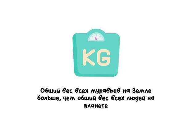 Самые разные короткие факты на все случаи жизни