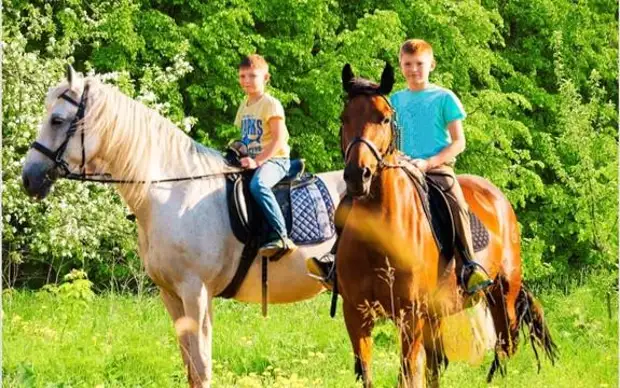 В Битцевском лесу появится кольцевой конный прогулочный маршрут